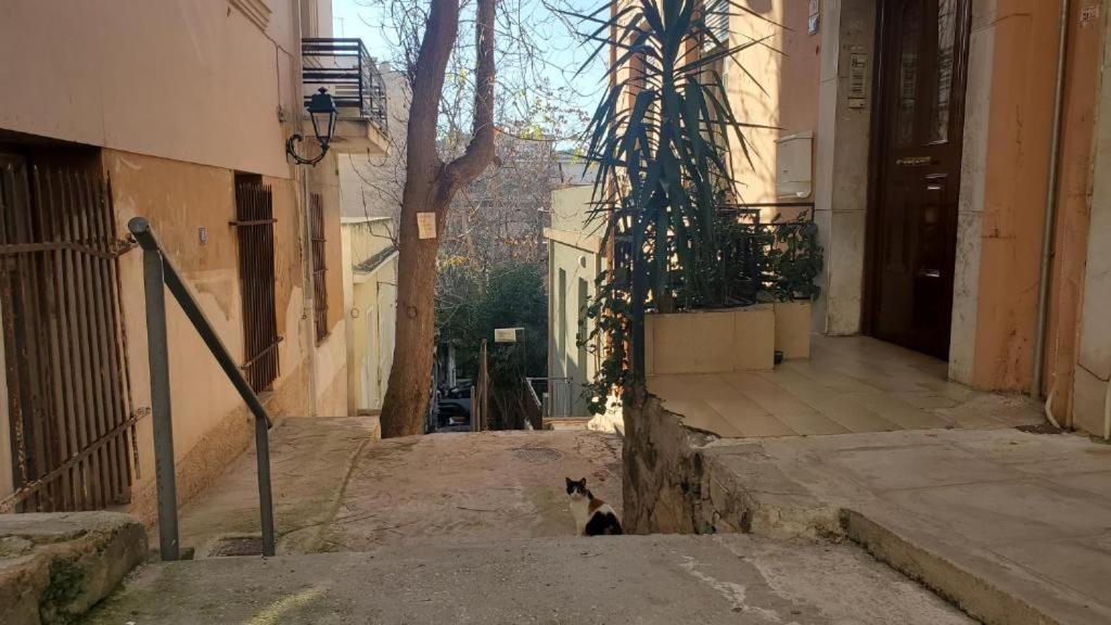 Athens City Center Luxury Suites Ngoại thất bức ảnh